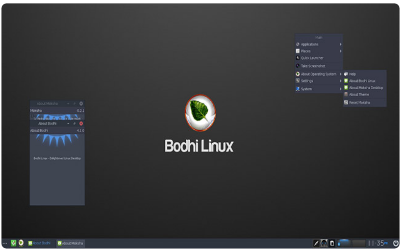 Bodhi Linux - linux distro